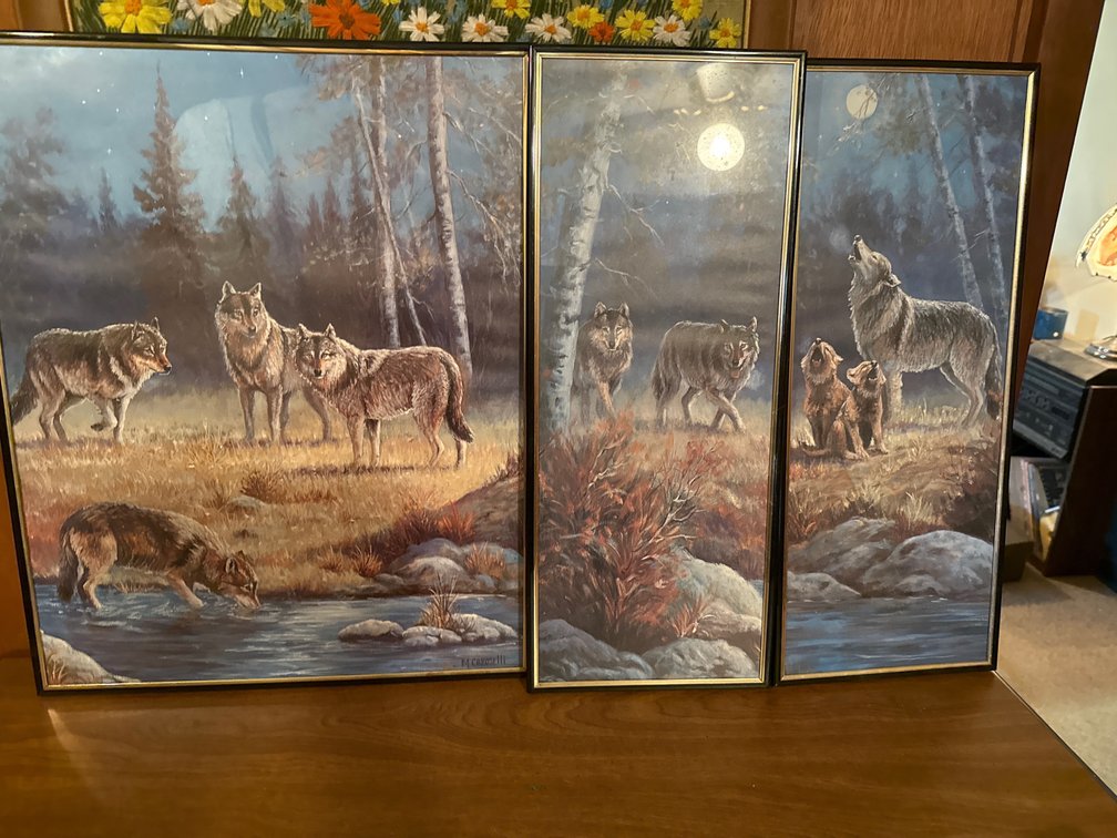 3 Wolf Framed Pictures