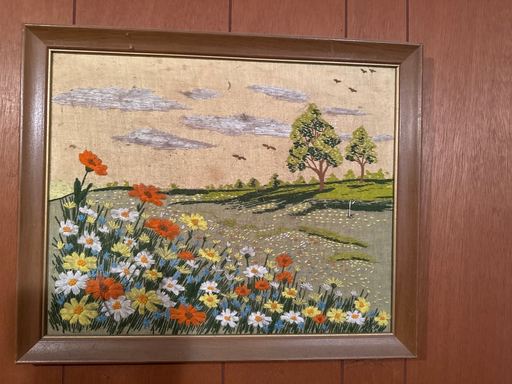 Framed Cross Stitch Picture