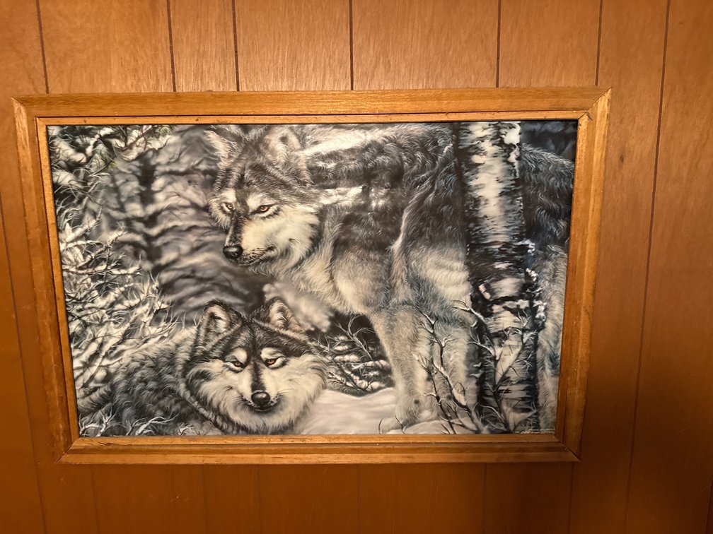 Framed Wolf Poster 25”x36.5”
