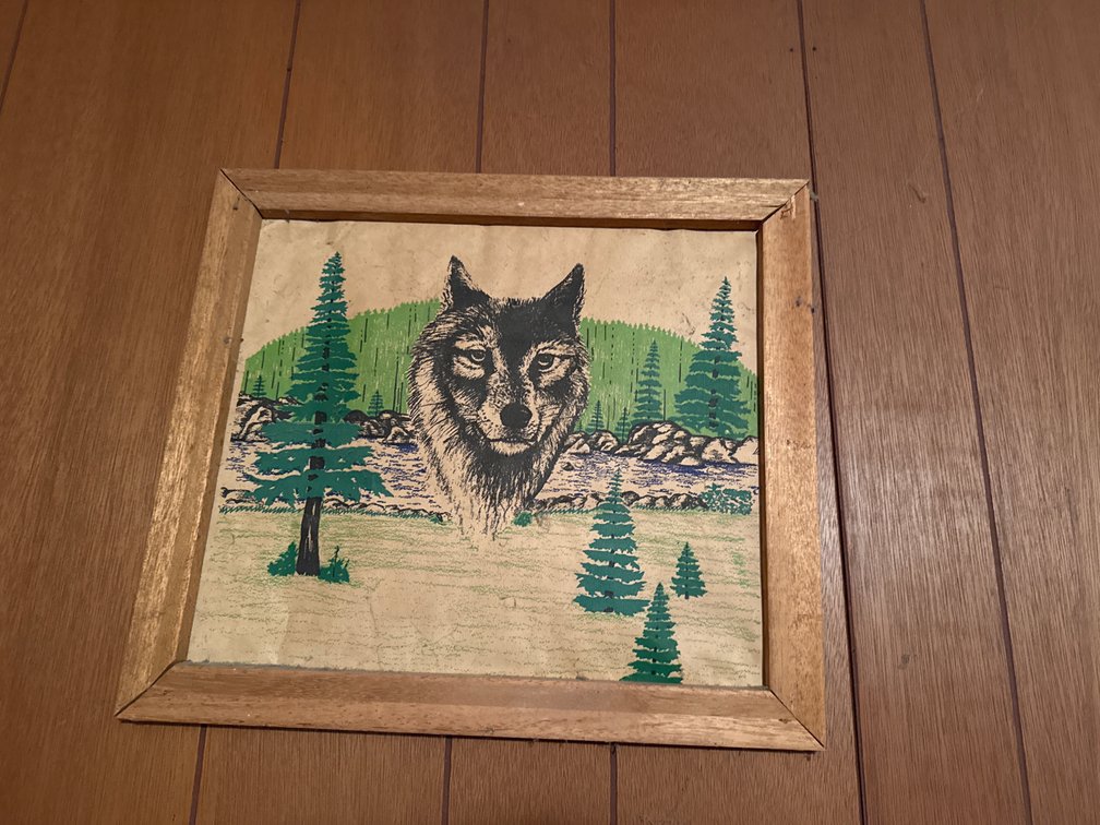 Framed Wolf Picture 15”x17”