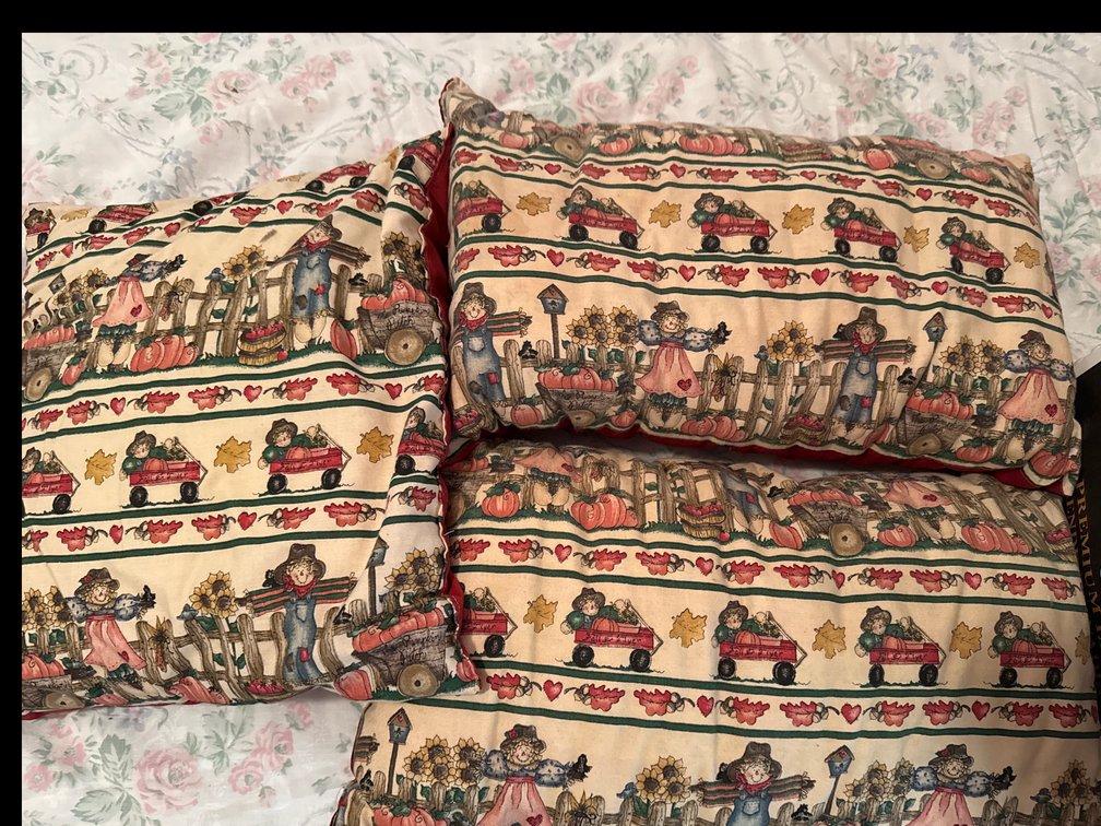 Fall Decor- Throw Pillows