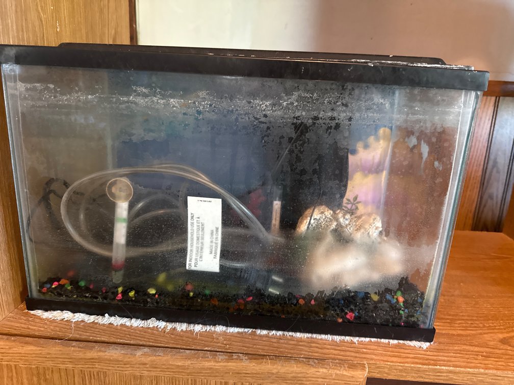 Fish Aquariums