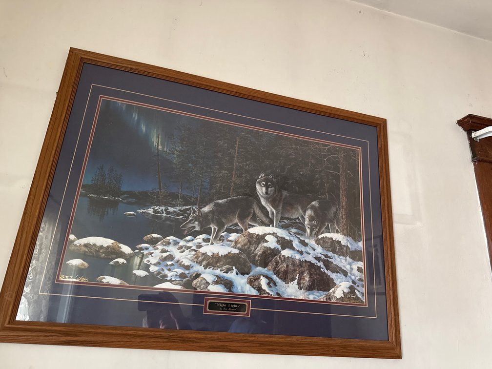 Framed  Print By Jim Hansel- Night Lights 29”x39”