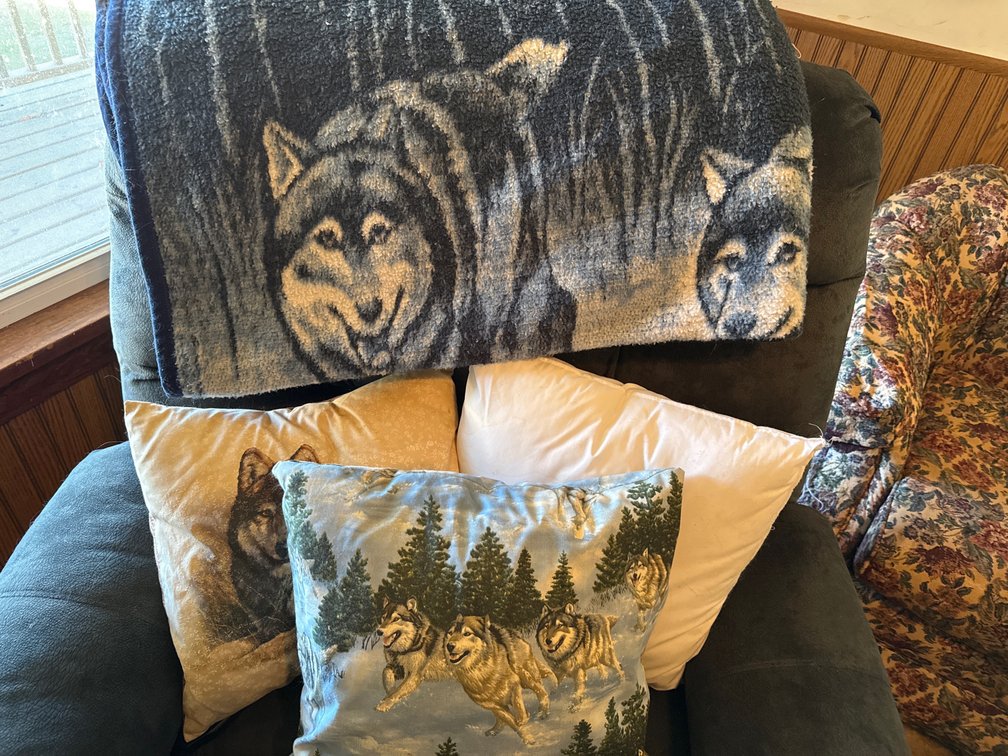 Blanket And Throw Pillows