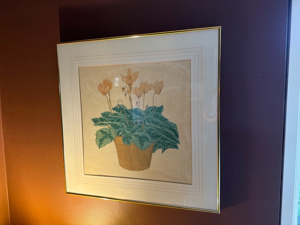 Framed Plant Print