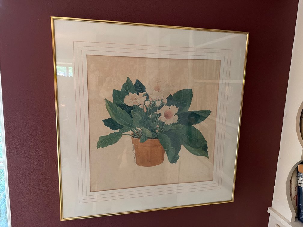 Framed Potted Plant Picture