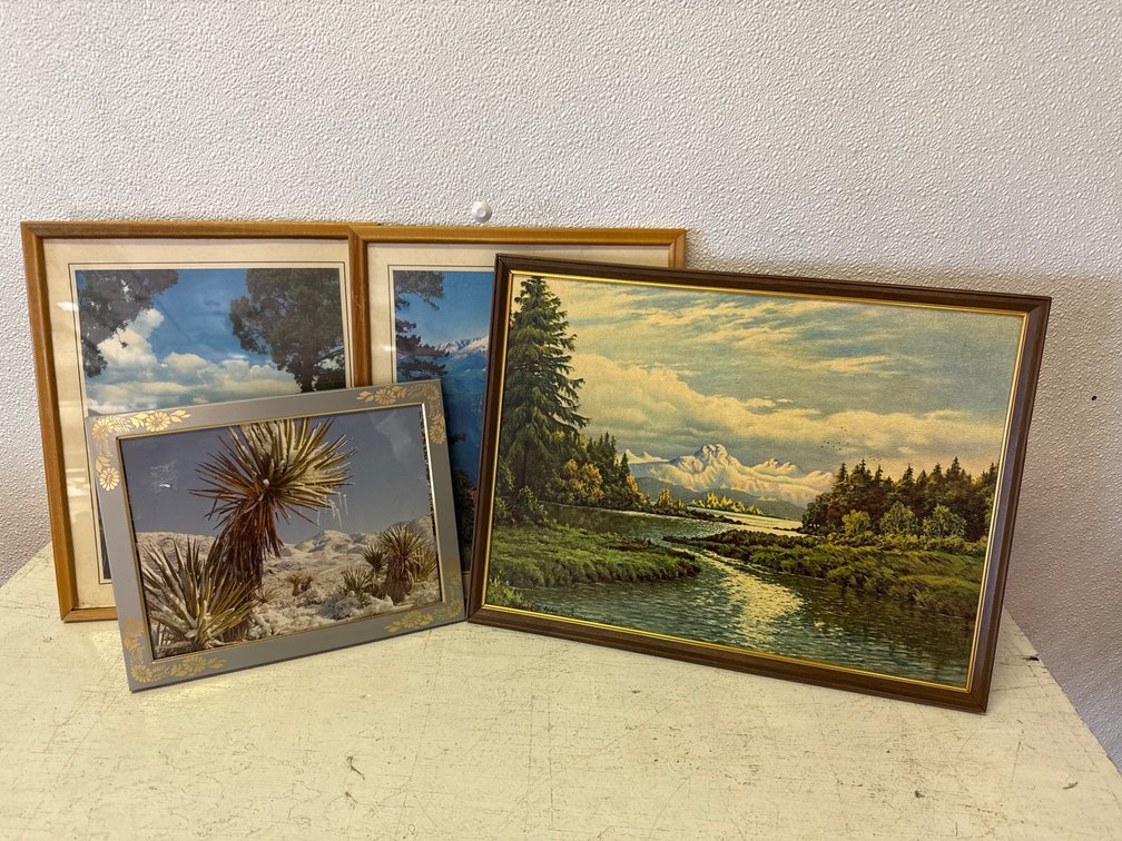 Framed Scenery Pictures