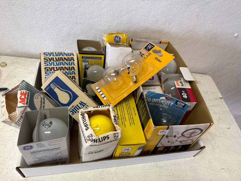 Light  Bulbs