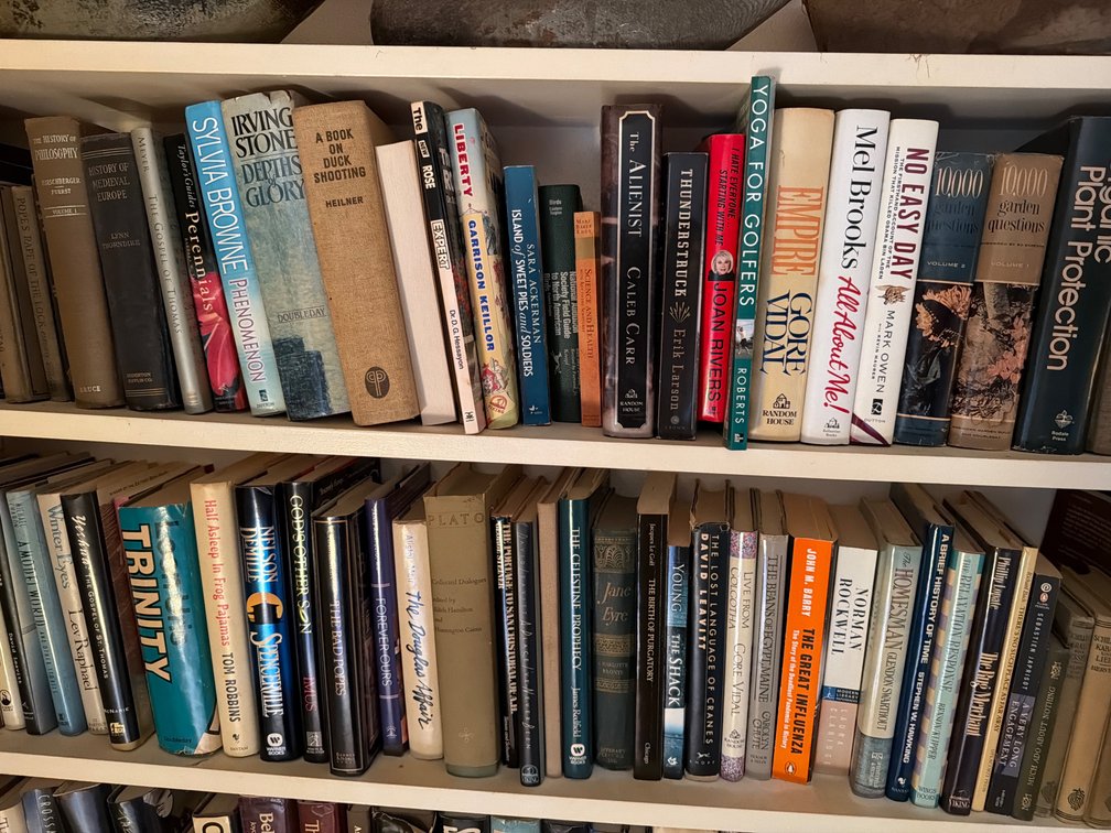 2 Shelves of Books