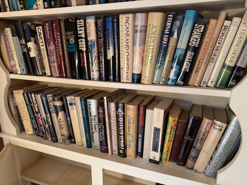 2 Shelves of Books