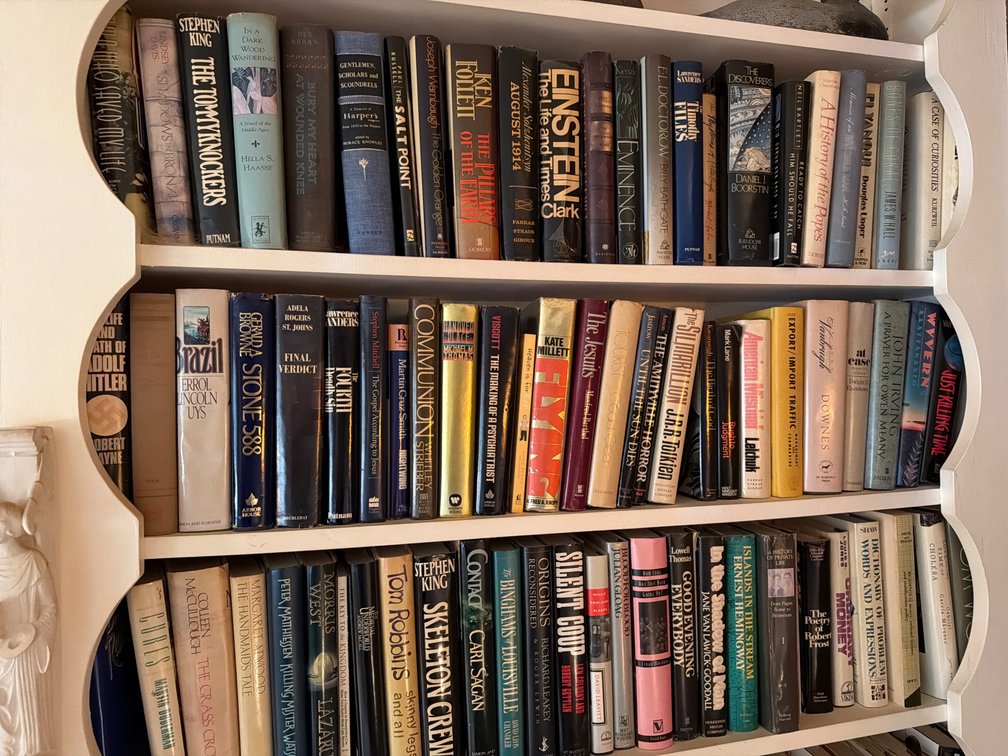 3 Shelves of Books