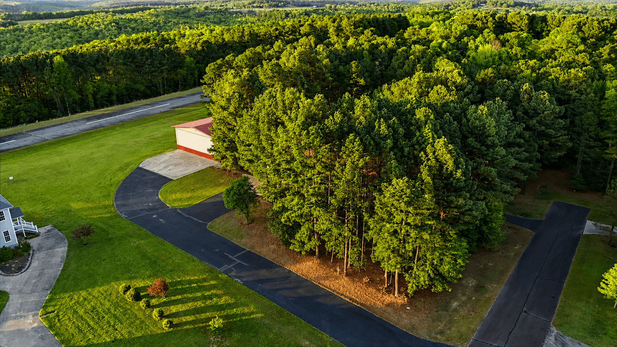 Image for Aviation Home & Hangar – Clinton, Arkansas