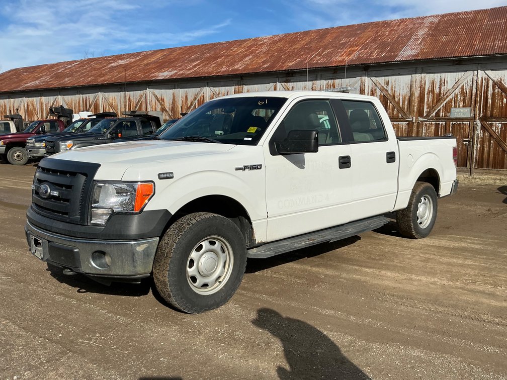2010 Ford F-150 Pickup Truck, VIN #: 1FTEW1E87AFD05583