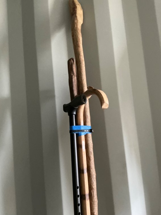 (5) Assorted Walking Sticks and Canes
