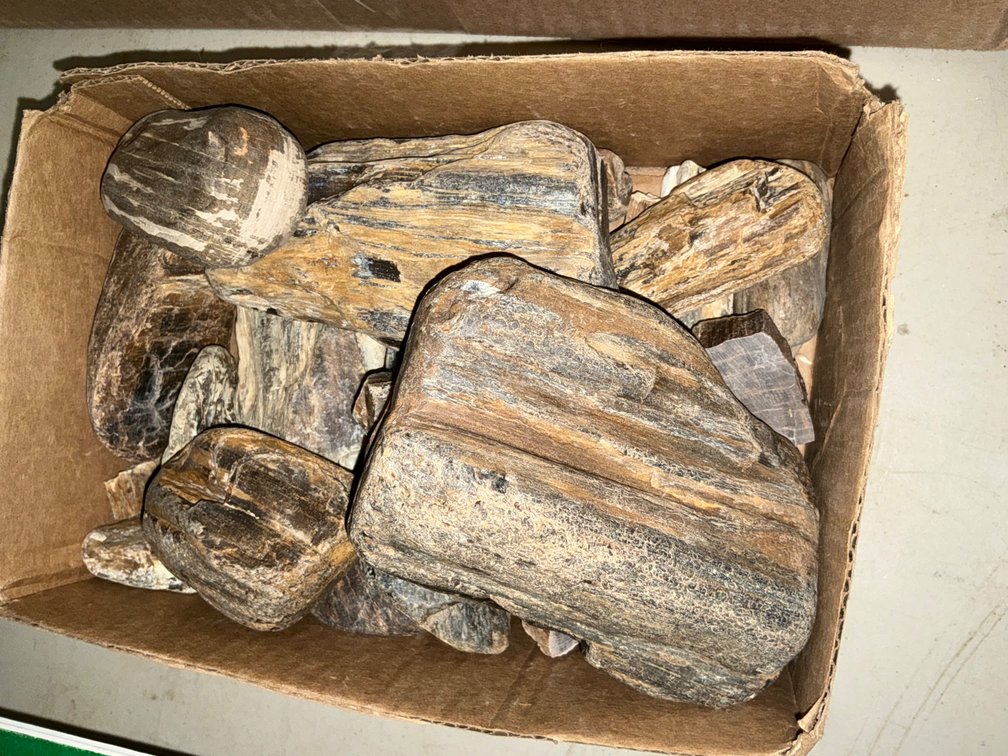 8Lbs. of Assorted Petrified Wood Pieces