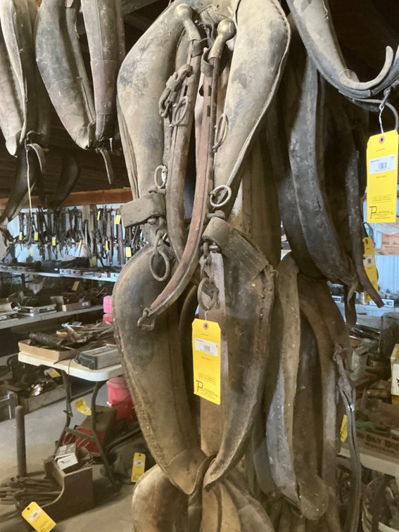 (3) Vintage Horse Collars and (2) Vintage Hames