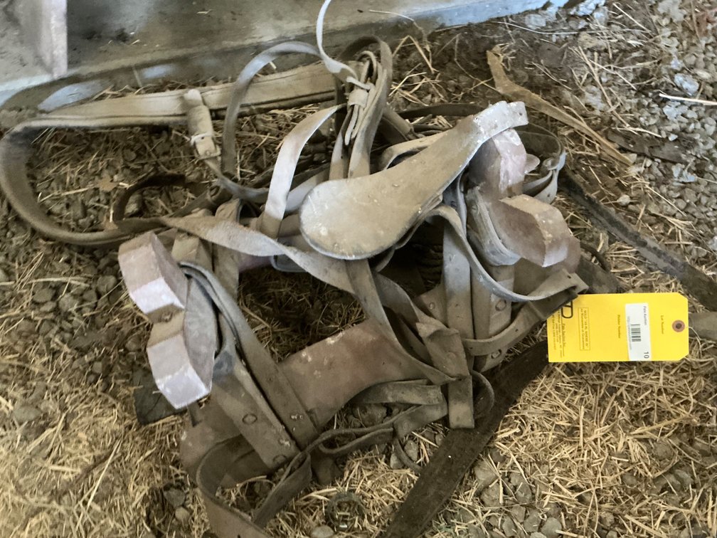 Sawbuck Pack Saddle with Harness and Hardware