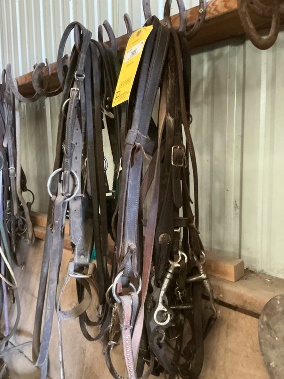 (2) Bundles of Assorted Bridles - Approximately (5) Total