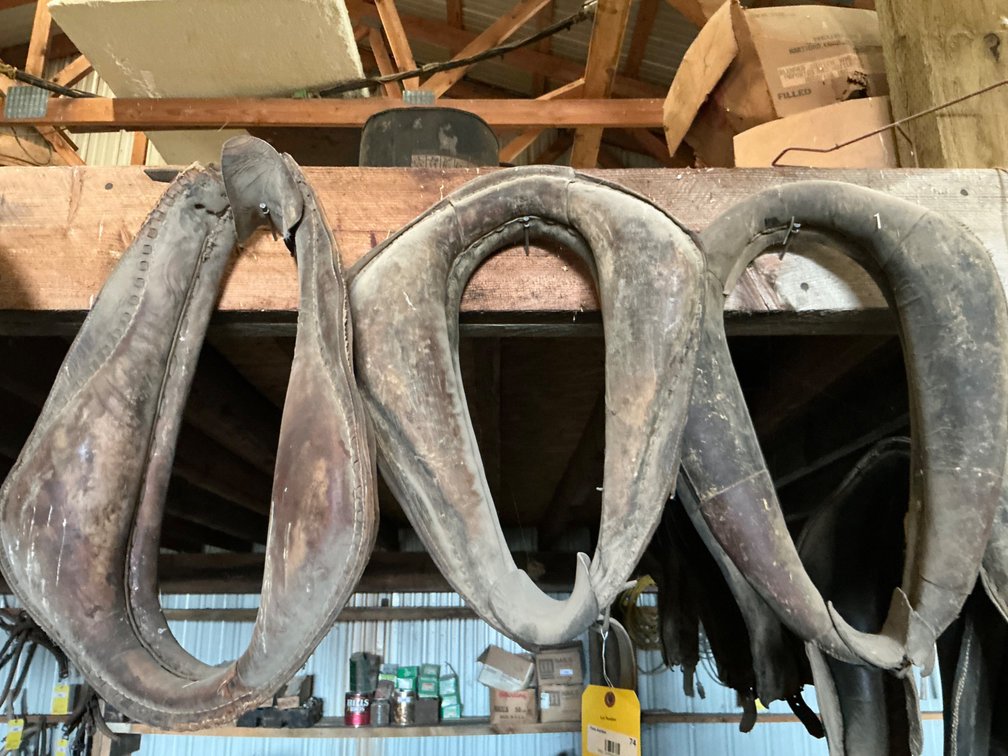 (3) Vintage Horse Collars