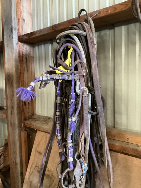 (1) Bundle of Assorted Bridles