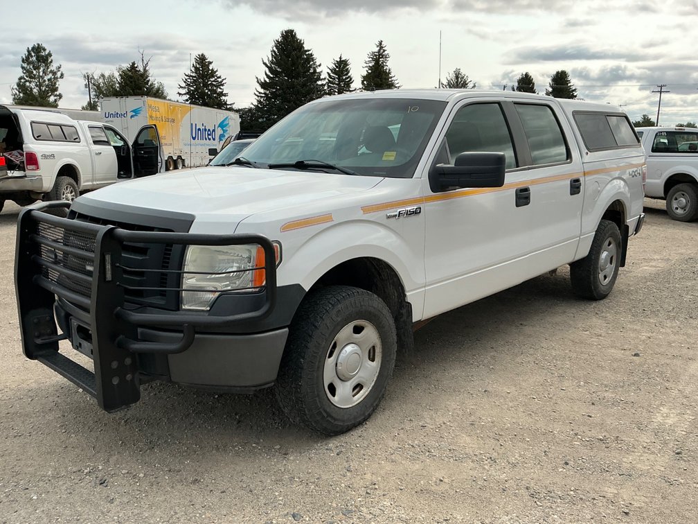 2009 Ford F-150 Pickup Truck, VIN #: 1FTRW14859FA55923
