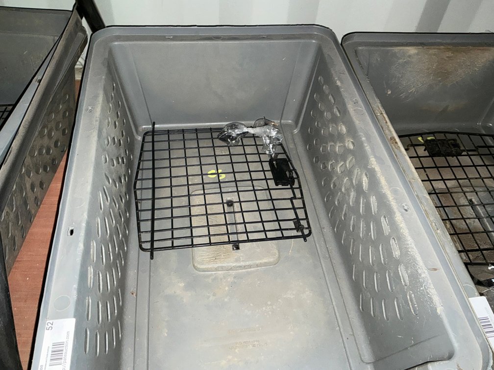 Plastic Pet Crate - 24"L x 16"W x 16"H
