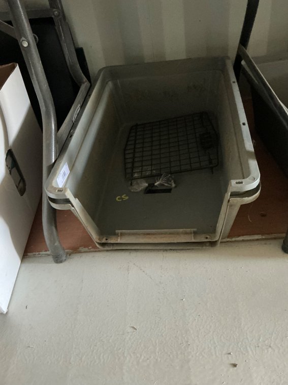 Plastic Pet Crate - 24"L x 16"W x 16"H