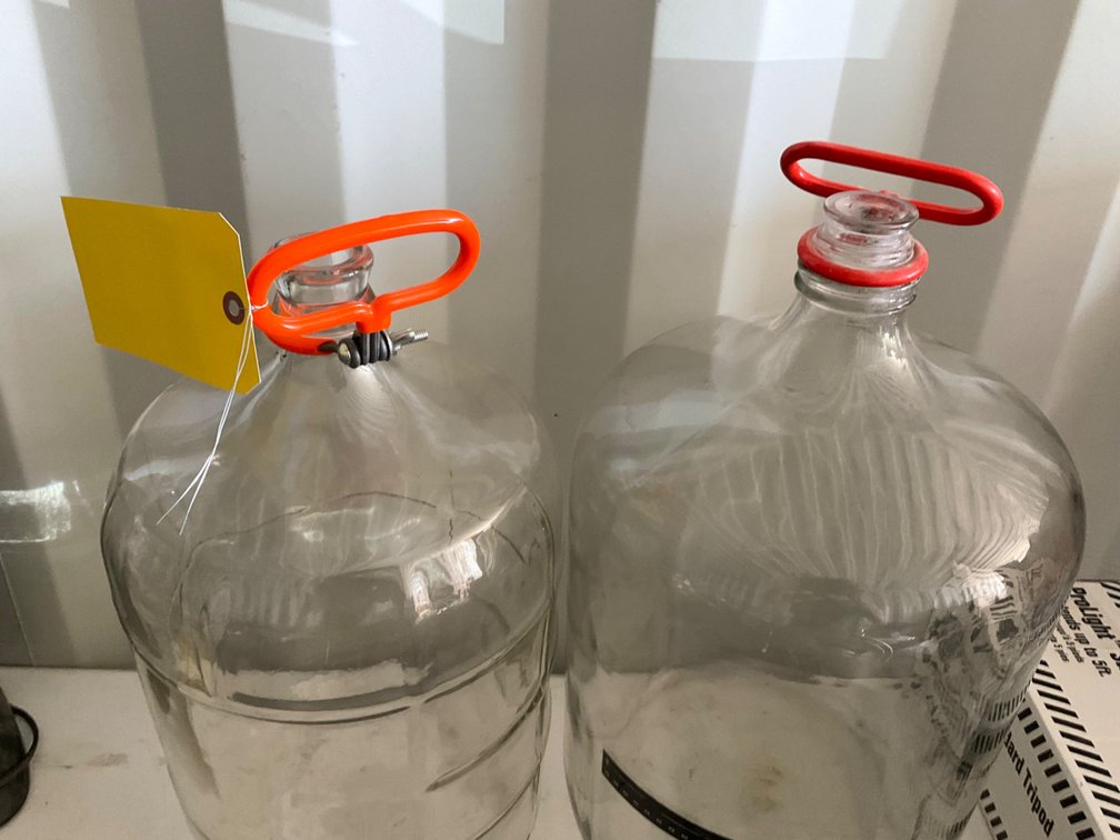 (2) Italian Glass Carboys