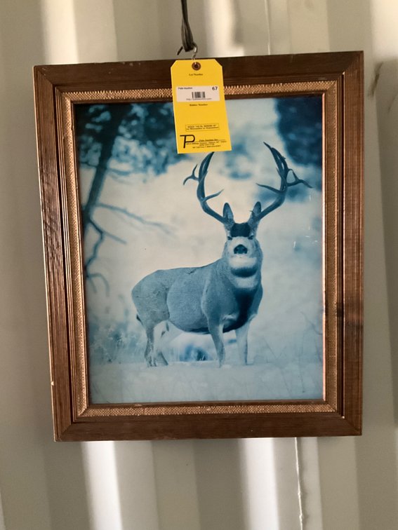 Vintage Mule Deer Portrait (Faded)