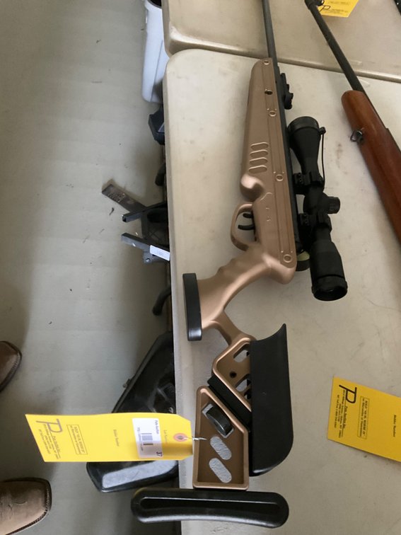 Swiss Arms Pellet Gun - Synthetic Stock With Swiss Arms 4x40 Scope