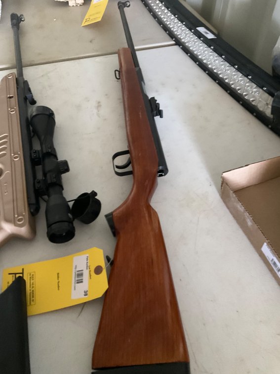 Pellet Gun - Wooden Stock, Flip Up Sight