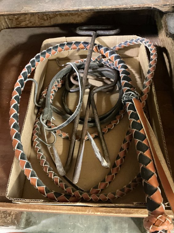 Bull Whip, (3) Hay Hooks and Bungee Cord