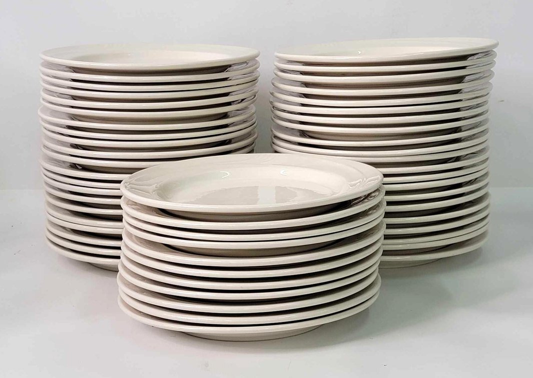 53x Oneida Espree 8.5" Plates