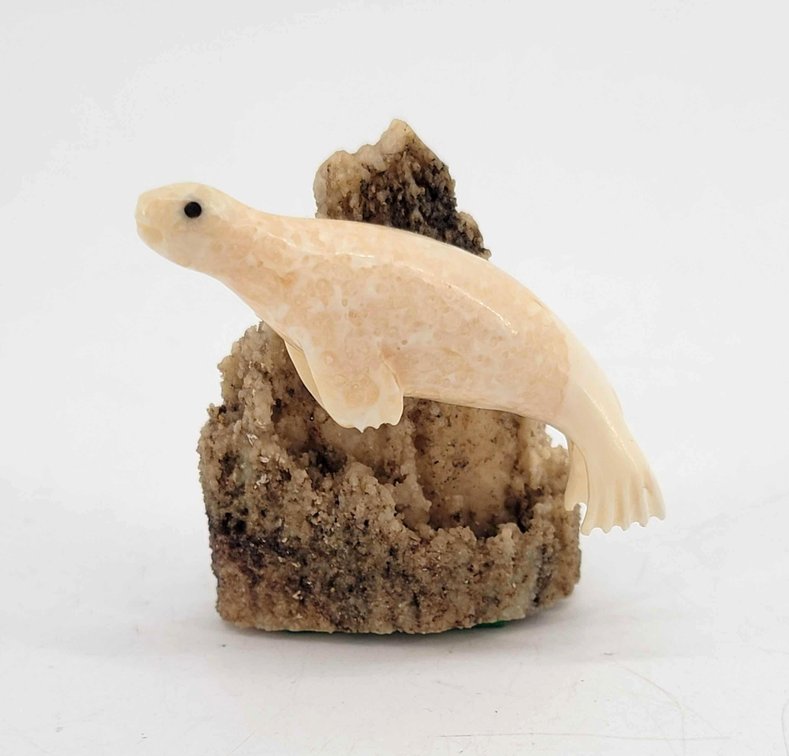 Fossil Walrus Ivory Seal Carving