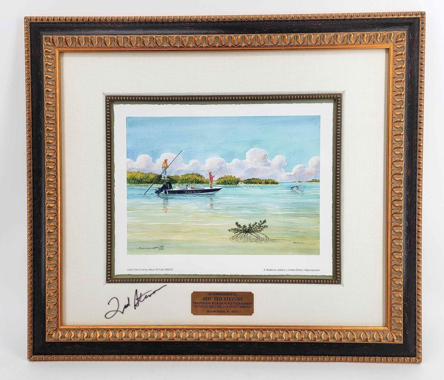 Klaus Schuler "Catch The Cure" Framed Print 