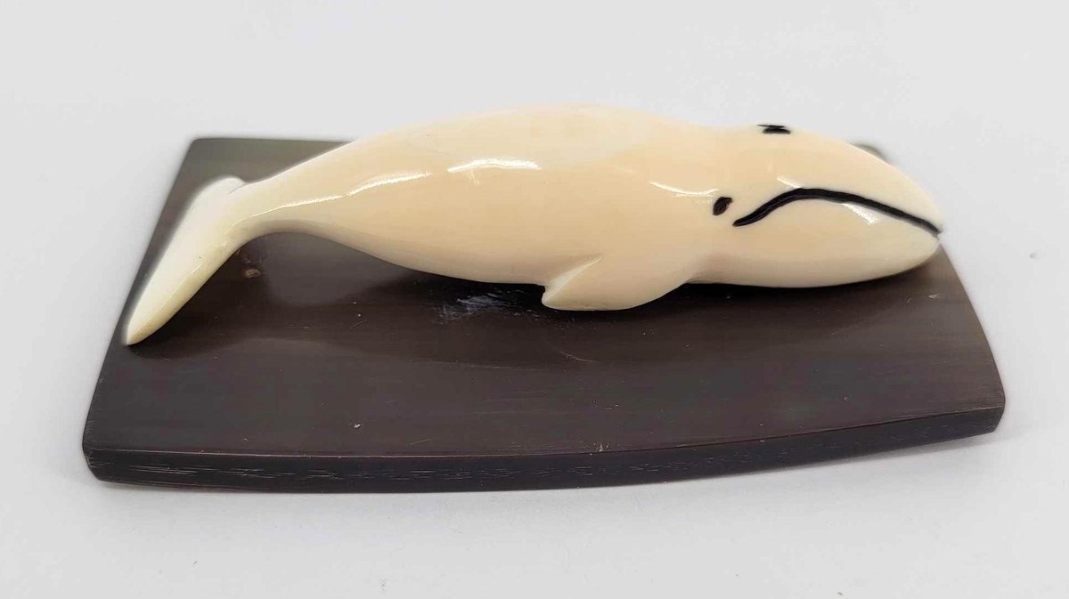 Ivory Scrimmed Whale on an Baleen Base