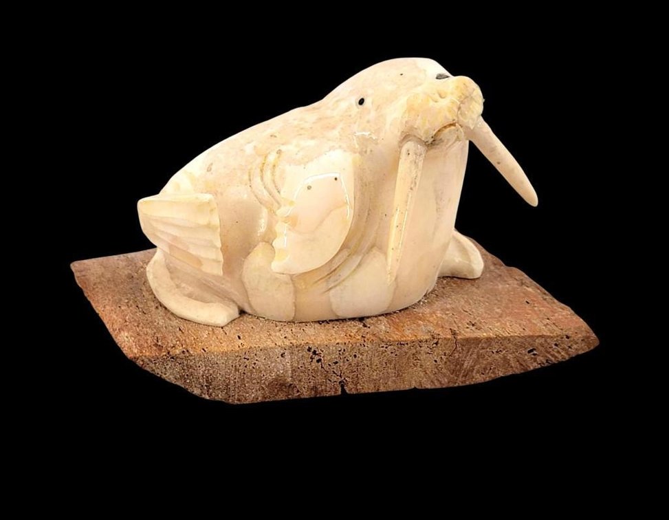 Fossil Walrus Tusk Carving of Bull Walrus by Moses Soonagrook