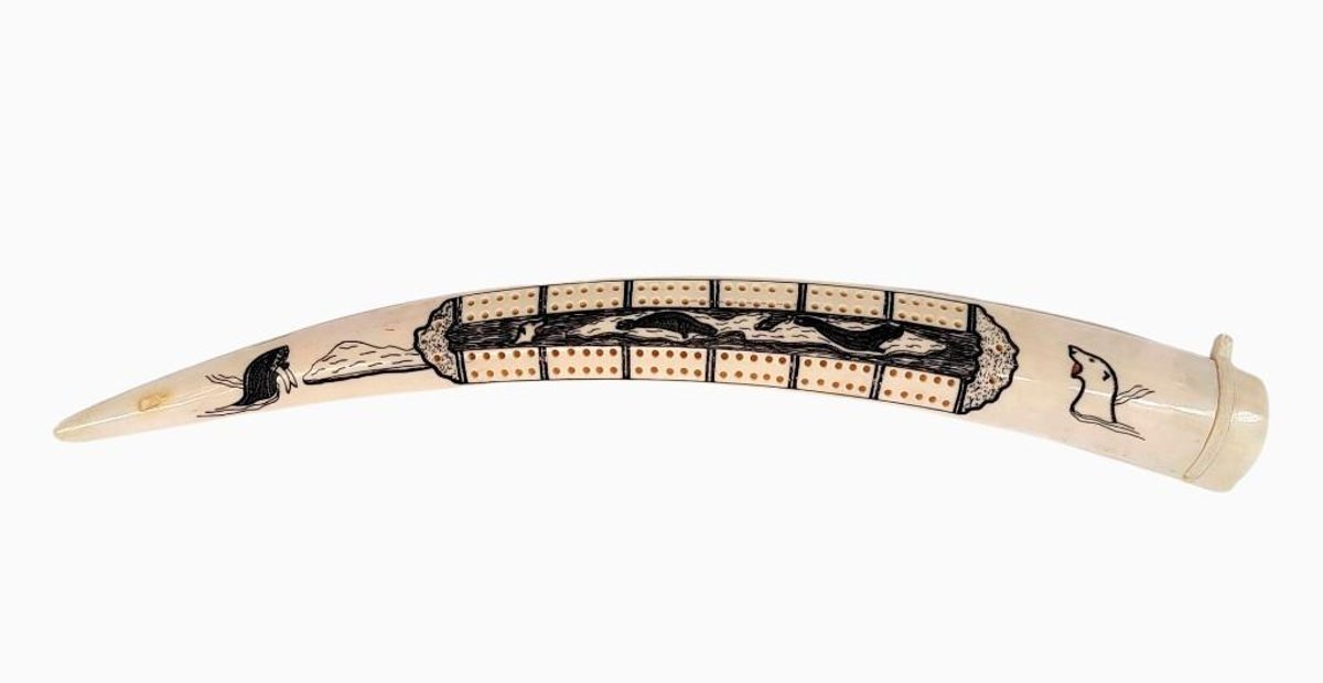 13.75" King Island Eskimo Walrus Tusk Cribbage Board