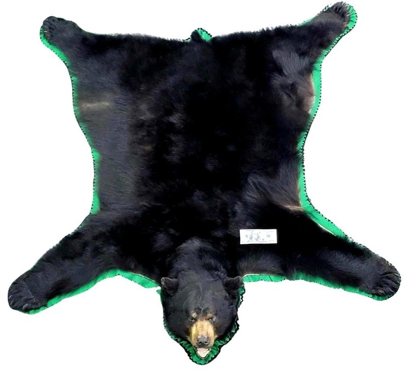 Large Alaskan Black Bear Rug by Jonas Bros.