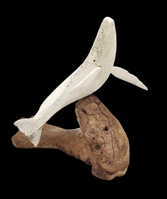 Humpback Whale Carving on Fossilized Walrus Jaw Base