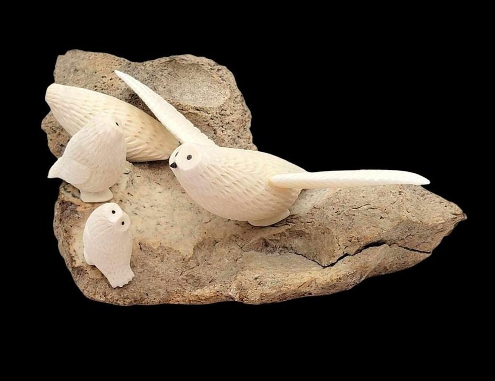Eskimo Walrus Tusk Diorama of Owl Family by Charles Slwooko 