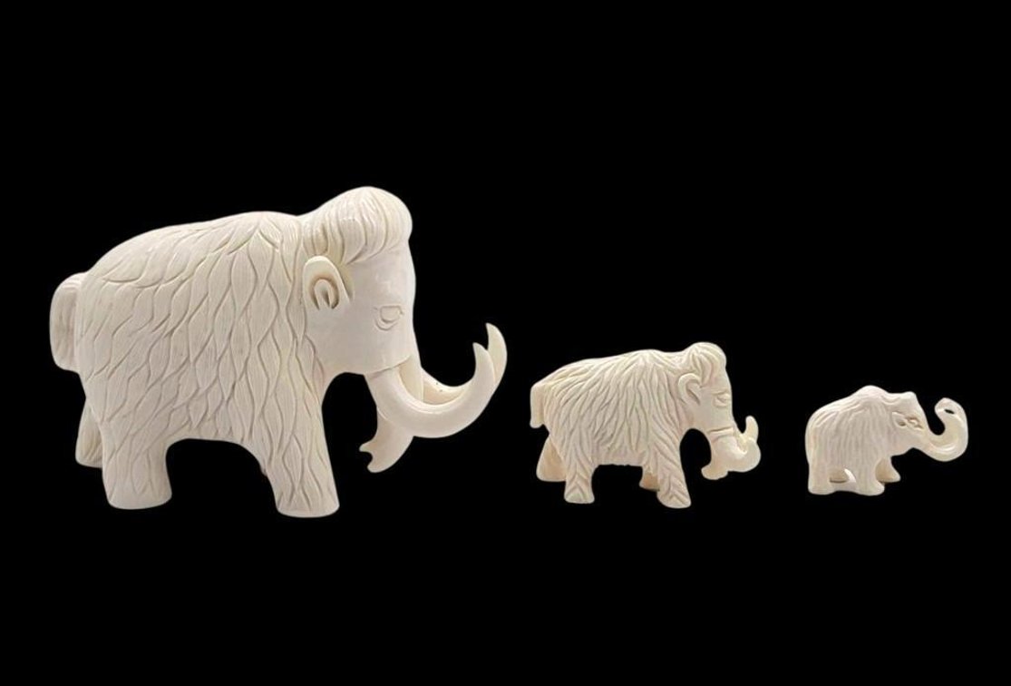 Mammoth Tusk Family 