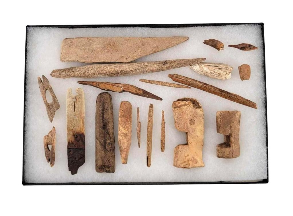 Primitive Fossil Ivory & Bone Artifacts
