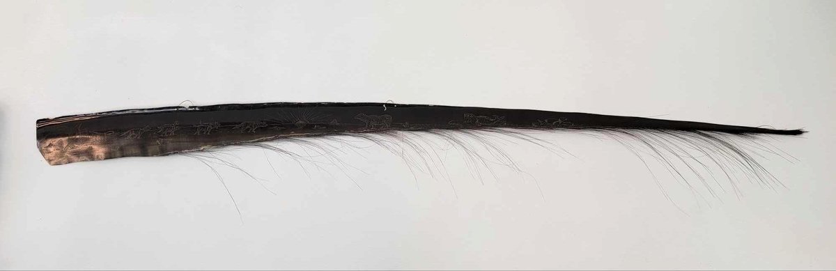 75" Pictorial Baleen Frond