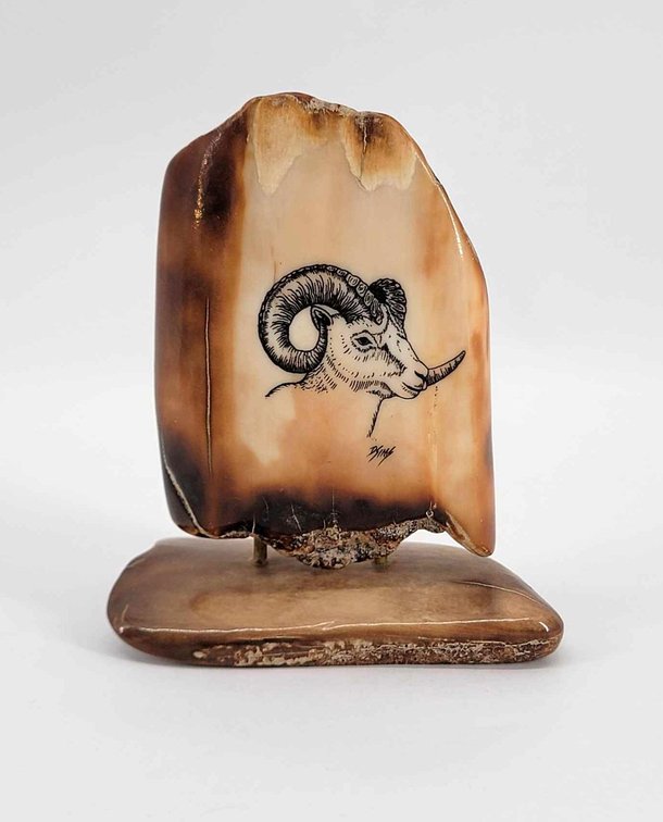 Dennis Sims Dall Sheep Scrimshaw on Fossil Ivory