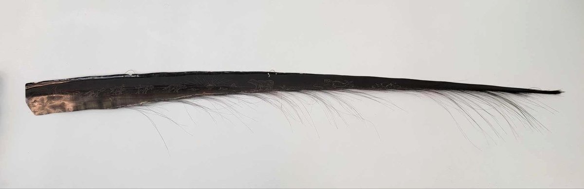 68" Polished Baleen Whale Frond