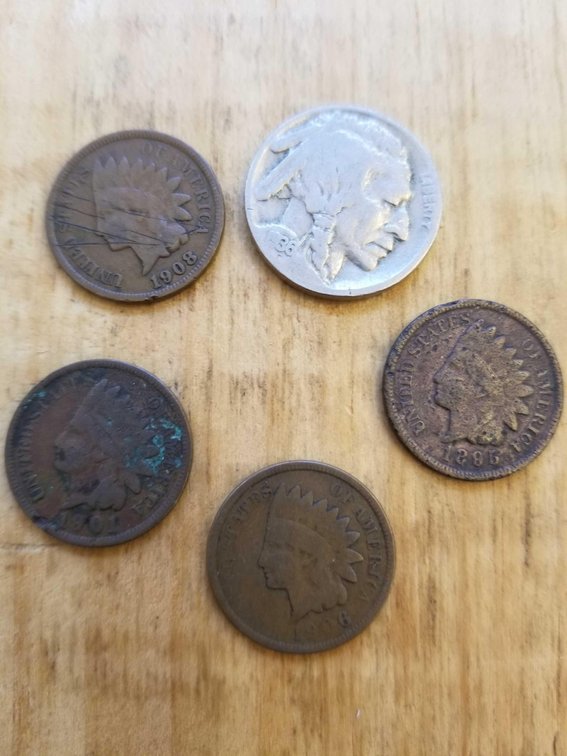 Lot of indian head pennies and a buffalo nickel