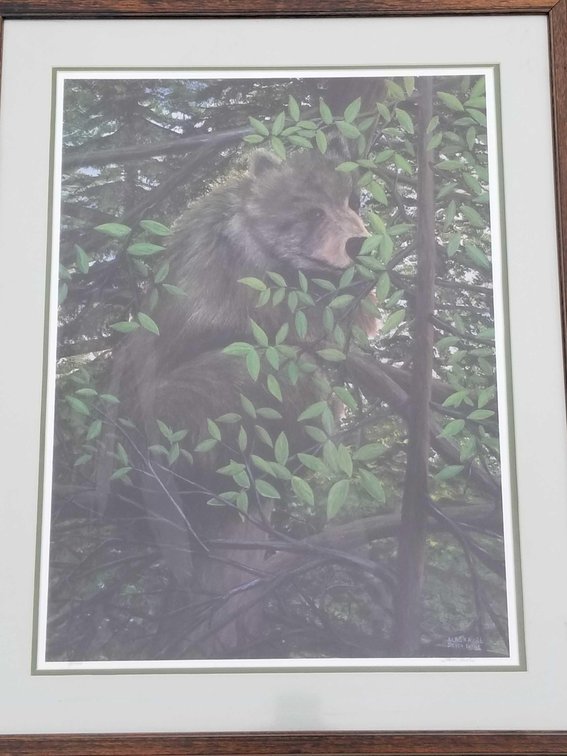 Alaskan brown bear color lithograph by Steve Lavine