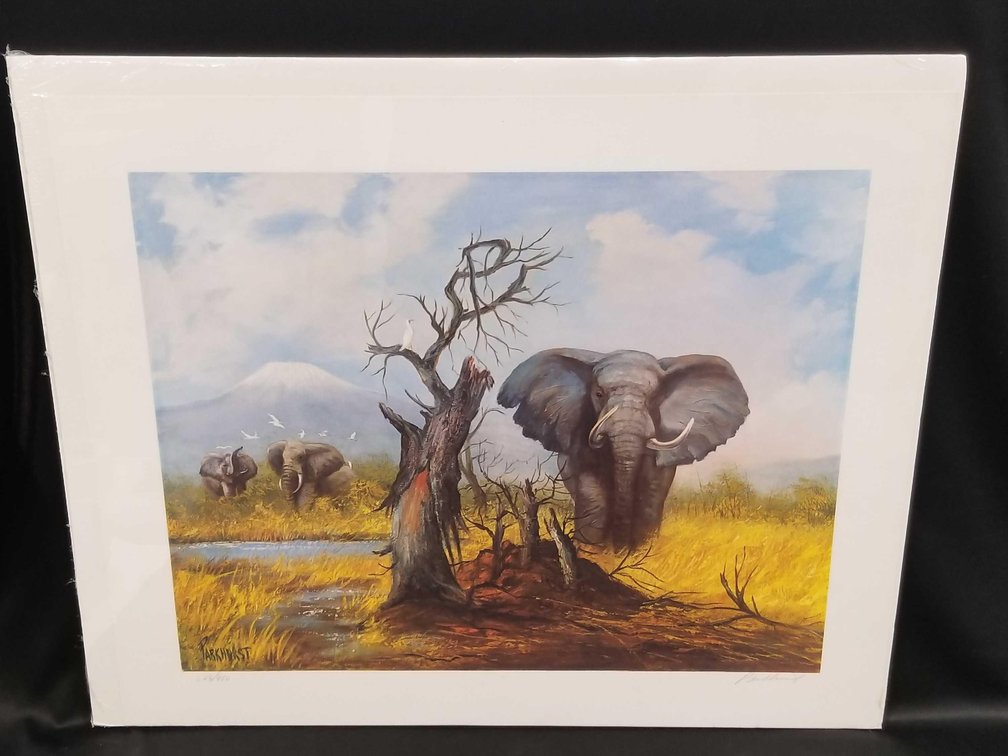 Violet Parkhurst elephant print 