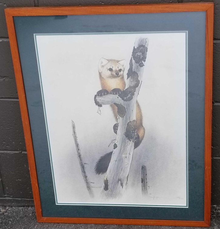 Gary Lyon Marten print 